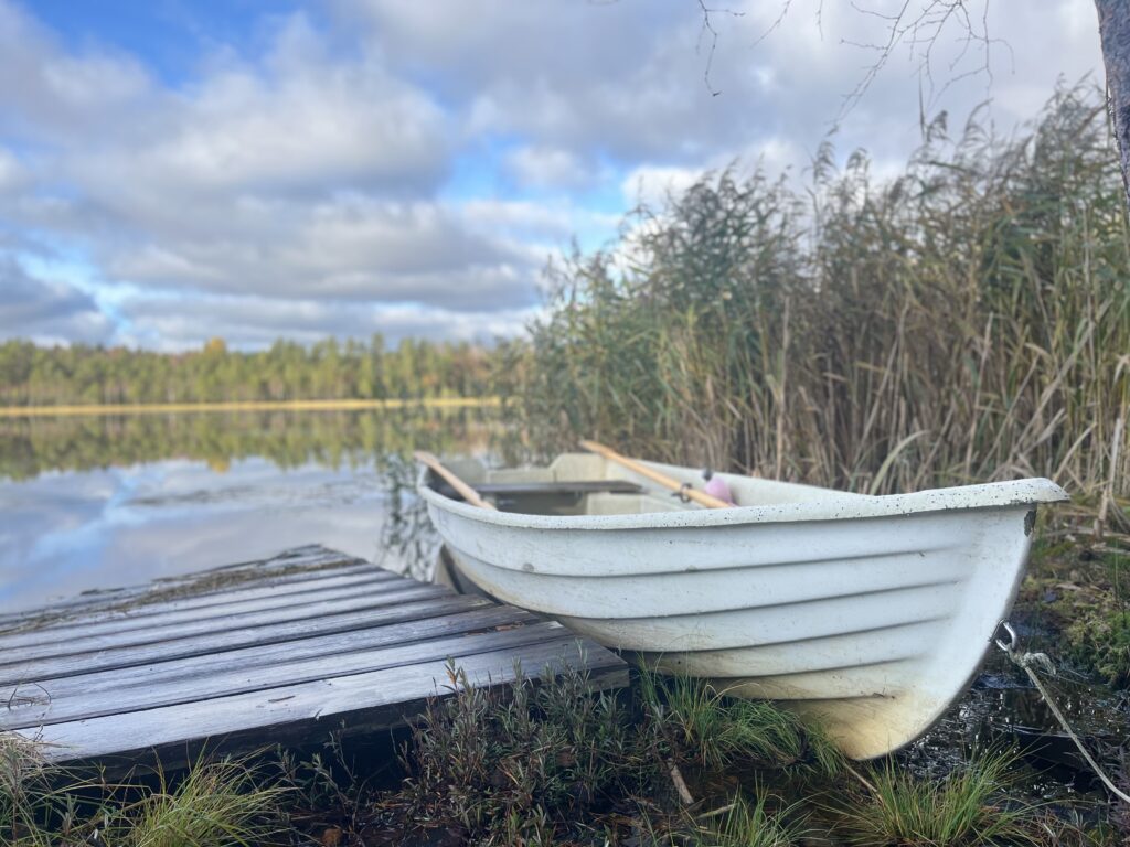 kuva soutuveneestä lammen rannalla